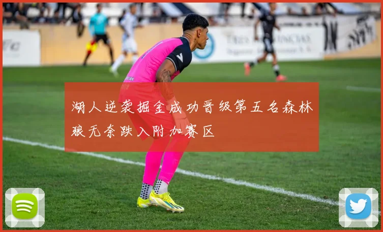 湖人逆袭掘金成功晋级第五名森林狼无奈跌入附加赛区